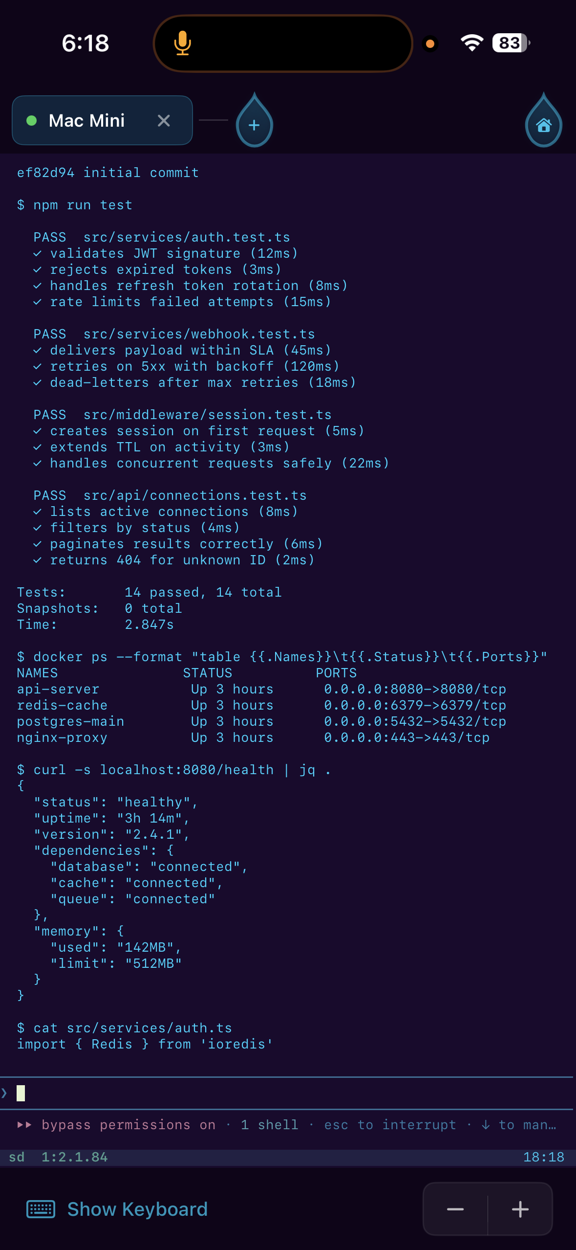 Terminal session running tests